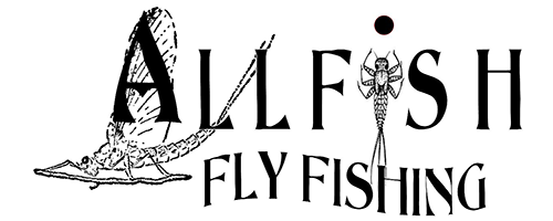 Allfish